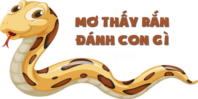 Nằm mơ thấy rất nhiều rắn đánh số mấy?