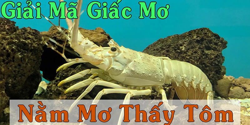 Nằm mơ thấy tôm nên chốt con lô nào thành công?