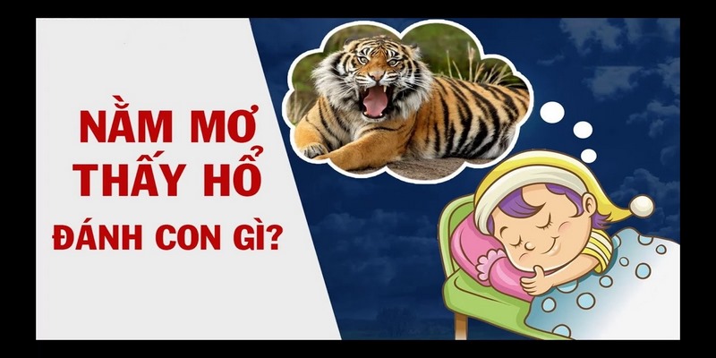 Giải mã ý nghĩa một số giấc mơ về hổ