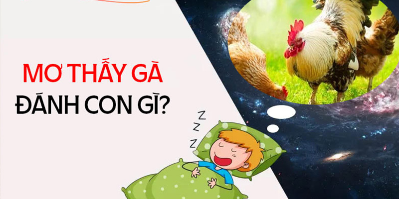Mơ Thấy Gà Mang Đến Điềm Báo Nào? Nên Đánh Con Số Nào?